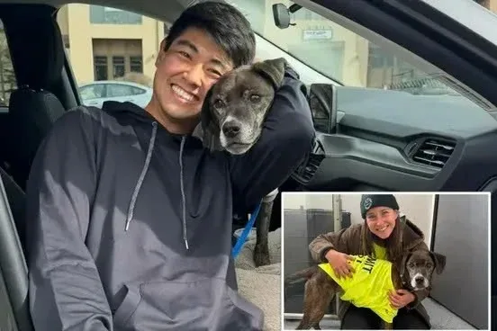 Lost Dog Survives 43 Days in Colorado Snow, Emotional Reunion with Owner
