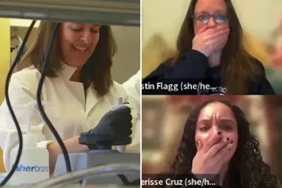 Hunter College Professor Suspended After Outrageous Remarks in Virtual Meeting