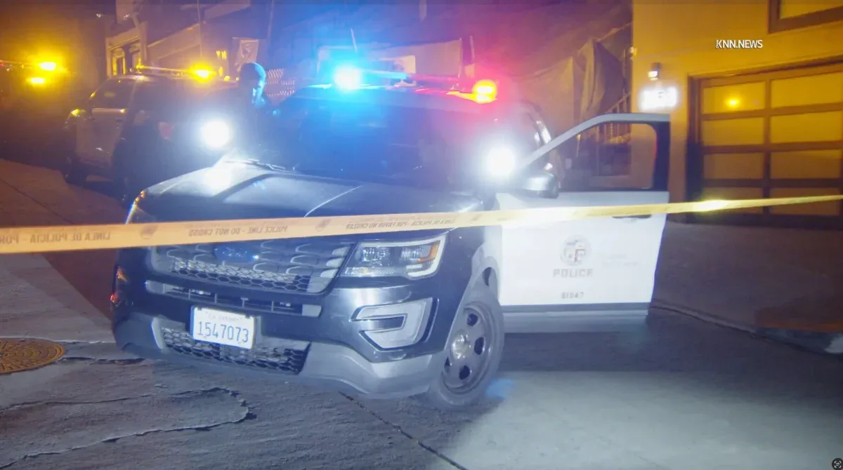 🔴 Home Invasion Kinh Hoàng Ở Hollywood Hills: Người Phụ Nữ 70 Tuổi Bị Tấn Công, Cướp Tài Sản