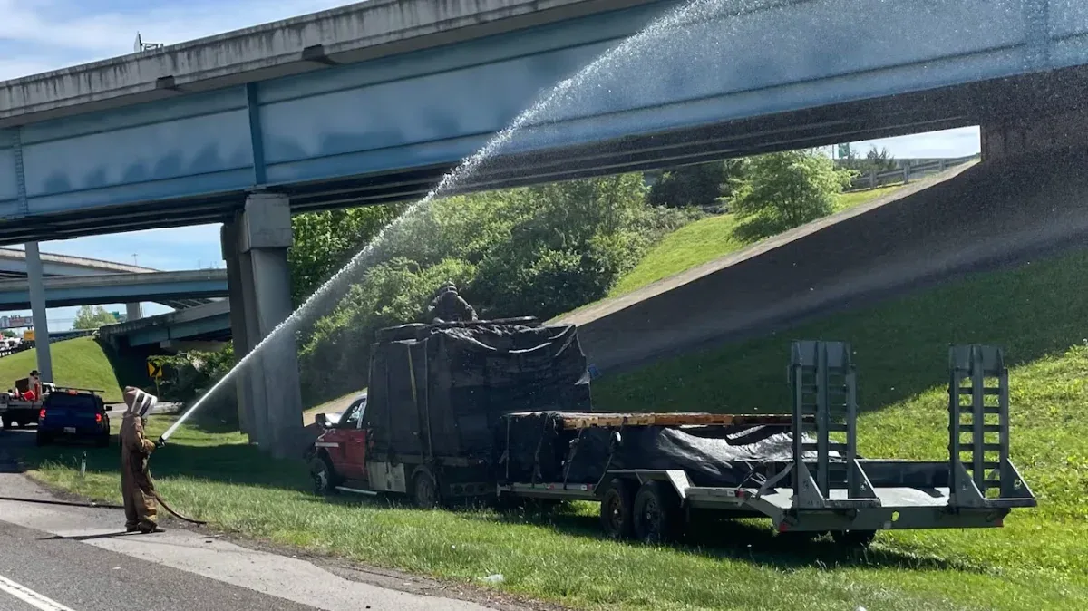 🐝 Xe chở 1 triệu con ong lật trên cao tốc — đàn ong tràn ra, đóng đường